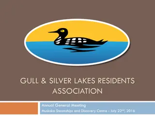 Gull & Silver Lakes Residents Association 2017 AGM Updates