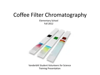 Chromatography in Elementary School: Coffee Filter Experiment