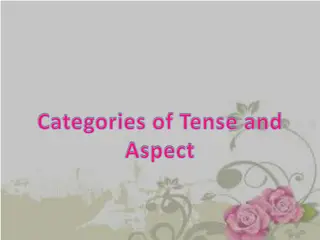 Understanding Categories of Tense and Aspect in Grammar
