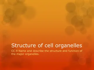 Explore Cell Organelles: Structures and Functions Revealed