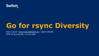 Enhancing RPKI Robustness with Diverse Rsync Implementations