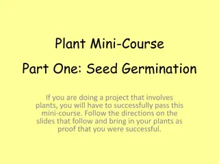 Mastering Seed Germination for Successful Plant Projects