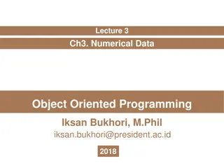 Understanding Numerical Data in Object-Oriented Programming