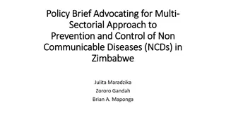 Advocating for Multi-Sectorial Approach to NCD Prevention and Control in Zimbabwe