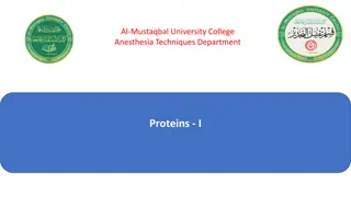 Understanding Proteins: Structure, Digestion, and Absorption