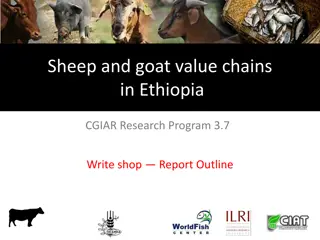 Sheep and Goat Value Chains in Ethiopia: Planning Meeting Report