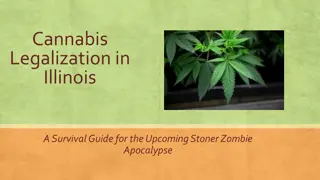 Survival Guide for Illinois Cannabis Legalization & Zombie Apocalypse