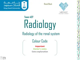 Radiology Imaging Modalities for Renal System Evaluation