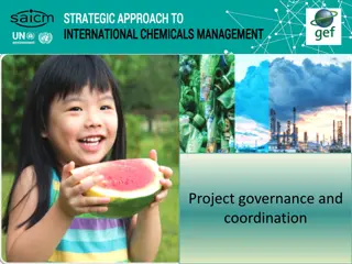 Project Governance and Coordination Structure Overview