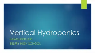 Vertical Hydroponics at Sarah Kincaid Belfry High School