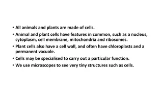 Understanding Cells: Animal, Plant, and Bacterial Cell Structures