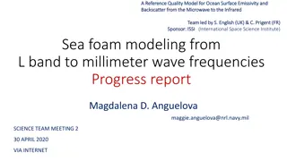 Modeling Foam Emissivity and Backscatter from Microwave to Infrared