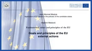 EU External Actions: Values, Goals, and Principles for Global Engagement