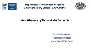 Veterinary Medicine Insights: Viral Diseases of Zoo and Wild Animals