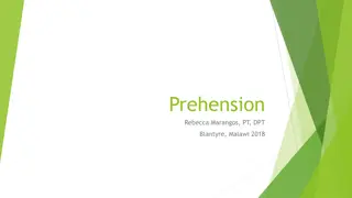 Understanding Prehension and Motor Development in Children