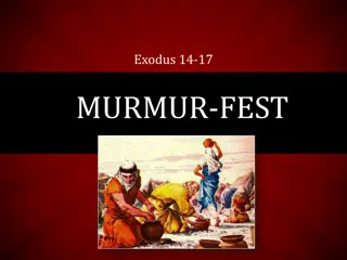 Reflections on Manna, Murmuring, and Spiritual Growth