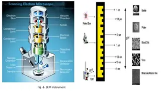 SEM Instrument: Construction, Operation, and Applications