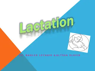 Understanding the Stages and Hormones of Lactation