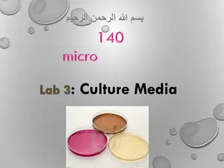 Understanding Culture Media in Microbiology