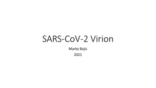 Understanding the SARS-CoV-2 Virion Structure and Life Cycle