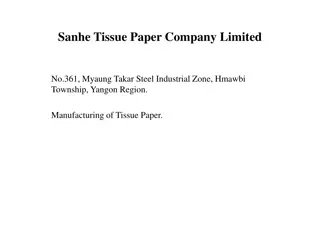 Tissue Paper Manufacturing Company Overview in Yangon Region