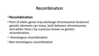 Genetic Recombination: Understanding Allelic Gene Exchange