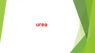 Understanding Urea: Functions, Measurement, and Clinical Significance