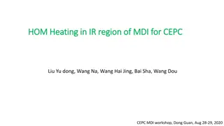 CEPC Heating in IR Region of MDI Workshop Summary
