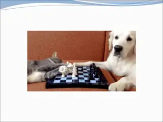 Solution Concepts for Puzzle Problems