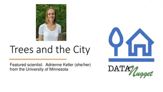 Unveiling Urban Tree Patterns and Social Disparities in Minneapolis and St. Paul