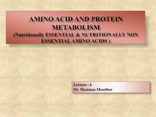 Essential Insight into Amino Acids and Metabolism