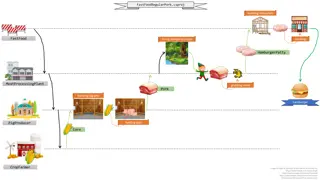 FastFood Pork Production Process