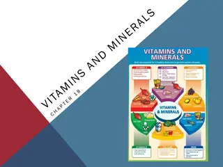 Essential Nutrients: Vitamins, Minerals, and Phytochemicals Explained