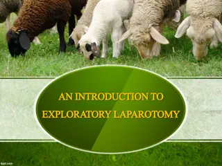 Exploratory Laparotomy: Procedure, Approaches, and Relevant Anatomy