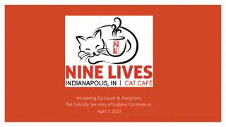 Nine Lives Cat Café - Tour Reflections and Recommendations