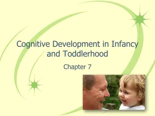 Understanding Cognitive Development in Infancy and Toddlerhood