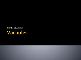 Understanding Vacuoles and Vesicles in Plant and Animal Cells