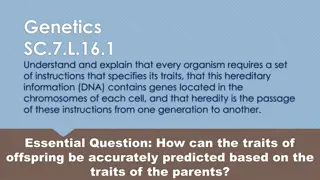 Understanding Heredity and Genetics Basics