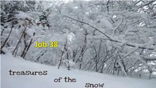 God's Creative Power and Greatness Unveiled Through Scripture