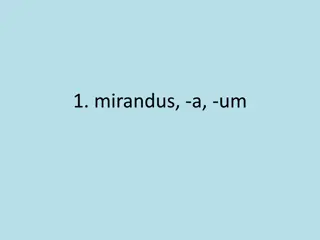 Enchanting Images of Latin Words and Their Meanings