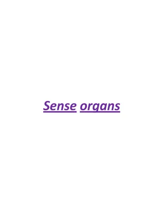 Understanding the Classification of Receptors in Sense Organs