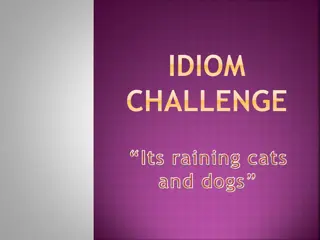Discover the Origin of the Idiom 'Raining Cats and Dogs'