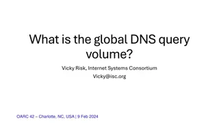 Understanding Global DNS Query Volumes and Distribution