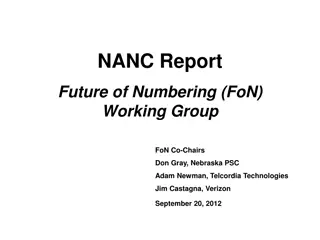 Future of Numbering Working Group Activities Update