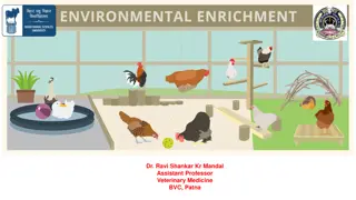 Improving Animal Welfare Through Environmental Enrichment