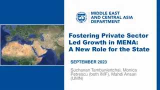 Private Sector-Led Growth in MENA Economies: Challenges and Opportunities