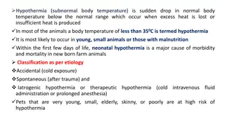 Understanding Hypothermia in Animals