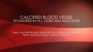 Calcified Blood Vessel Project Updates and Moving Forward Plans