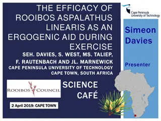 Efficacy of Rooibos Aspalathus Linearis as an Ergogenic Aid During Exercise