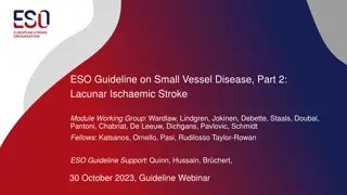 Small Vessel Disease and Lacunar Ischaemic Stroke Guidelines